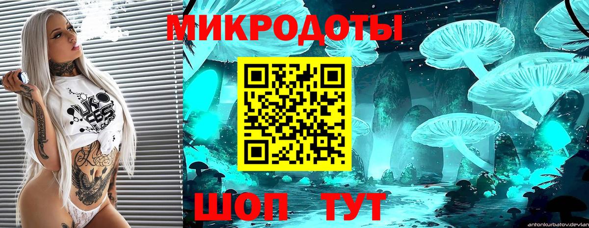Псилоцибиновые грибы MAGIC MUSHROOMS  хочу   Бердск  Вход с VPN 