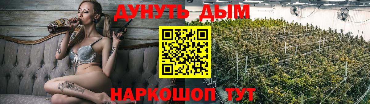 Бердск  Канабис Ganja  Вход с VPN  Каннабис Bruce Banner  Каннабис индика 